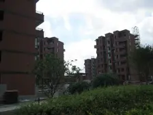 新江湾 低密度精致小洋房提升生活品质 满五