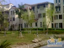 新上希缺户型 附带超大露台 厅面宽7米 全屋地暖