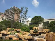 2010年纯商品房小区,万科物业环境很好