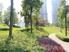 西区 中航翡翠城洋房四房215万