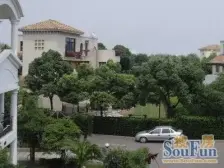 爆大花园 占地756平米 屋况好 采光佳 高泾路入门独栋