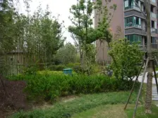 电梯房,产权清晰 无抵押,必看好房