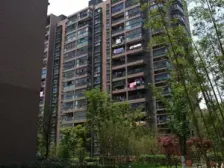 精装,无抵押,电梯房,新上房源