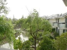 九洲大唐花园 6室3厅 南 西南