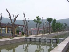 一楼底复,带院子,位置好,户型好,双阳台