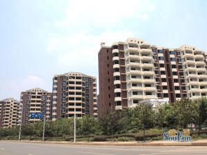 中南大学旁安静宜居大四房交通便利
