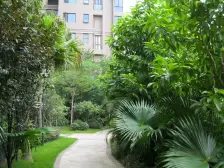 塞纳河畔南向三房 高层保养好 朝向出售