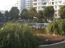 1号线地铁口+万科物业+烫金地段+南北通双露台