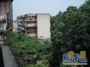 涤纶厂家属院 2室1厅 东南