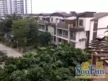 黄岐名雅花园一房一厅出售,采光好,户型方正。