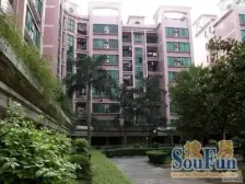 沙面新城 电梯小两房 户型方正 房子保养不错