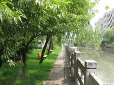 天元公寓,电梯两房,地铁6/9/14,北邻公园,南面是河