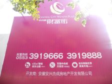 中央城,城南中芯板块公寓通燃气,婚房精装拎包住