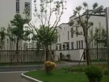 上院(南区) 2室2厅 南 北