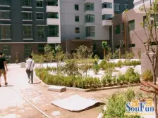 经典户型,下跃结构,精装修,产权清晰