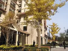 仁恒国际 领寓 楼龄新 中间楼层 品质小区 精装修