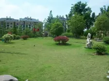 满五带阁楼,上海棠同凯,金山豪庭你见过的两房