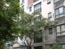 健身楼层,复式住宅,双规交汇,出行方便,价格可谈