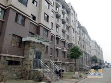 此房小区物业好,环境好,人员素养高,高品质小区