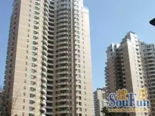 绿城物业 精装带地暖 双南全明采光无遮挡 3+1户型