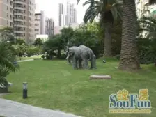 近地铁 满五 电梯房 随时看房 急售房源