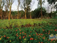 洋房大平层 业主急售 全屋6个独立风管机