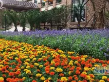 俊峰香格里拉 3室2厅 南 北