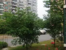 九歌上郡高楼层全明大一房看房方便