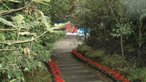 师大现代花园3室2厅东北