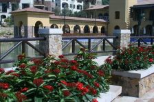 万科麓湖 6室3厅 南