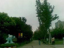 长寿路景观次新精装品质,后排小高层,有车位