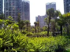 软三和万达广场旁大康三期精装5房拎包