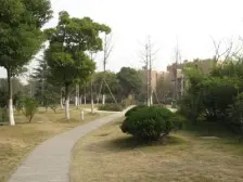 刚需上车 中间楼层 无抵押,必看好房