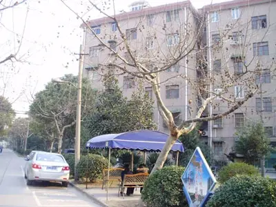 大金丰