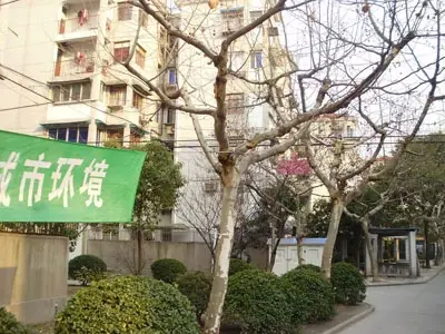 大金丰