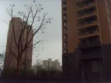 少有户型,一楼带院子,底复带车位