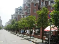 一梯两户,南北通透,小区中心位置,居家装修,房型正气