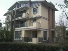 下叠别墅 近地铁 使用面积大 有大花元 户型正气