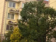 店长力荐,采光好,业主急卖,看房方便