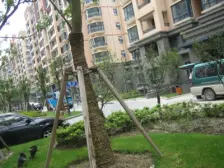 看苏州河景观房,享舒适人生