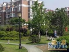 下叠别墅-建德花园牡丹苑,诚意出售,一楼带大花园,好谈好谈