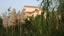 一楼带小院,生活美如画,60万新装修:中空+地暖+新风