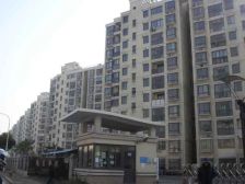 新上诚心急售;原始三房两卫自住装修,看房方便。