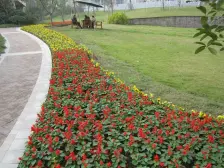 化龙桥 雍江艺庭二房138万