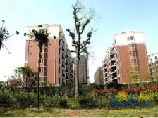 锦绣江南(宜都市) 3室1厅 南 北