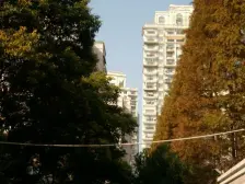 悦达花苑 3室2厅 南