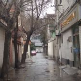 愚园路上独栋别墅,原汁原味,占地1亩花园666平,主副楼