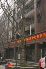 凯斯顿华府4室2厅北