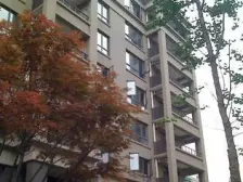 环境优美,精装好房,诚意出售,品质小区