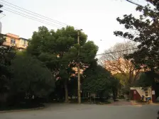 复旦小区+满五年+全明三房+非顶楼+看房方便+花园小区